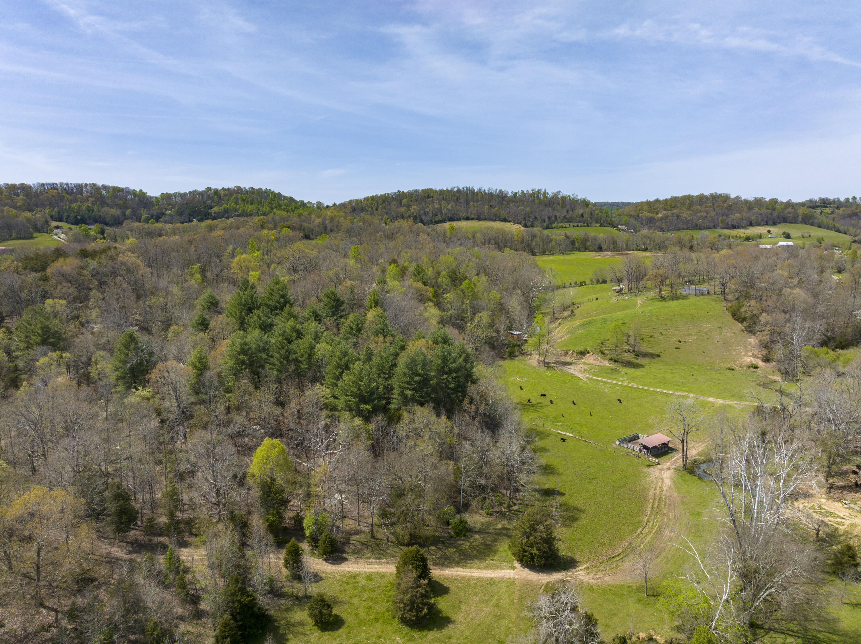 Tbd Bayless Road Jonesborough, TN 37659 - Photo 29 of 31 Bayless-Aerials-5