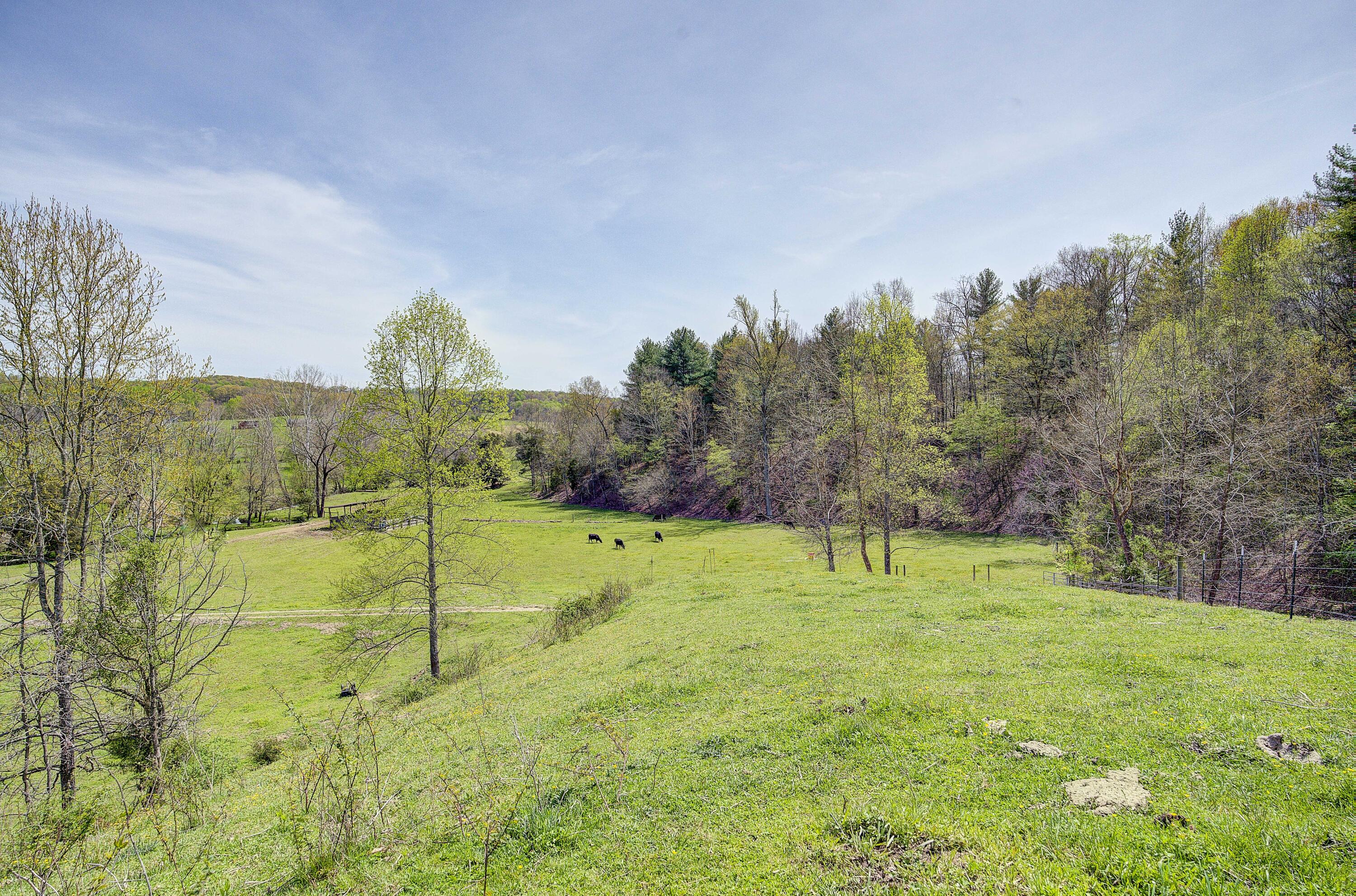 Tbd Bayless Road Jonesborough, TN 37659 - Photo 5 of 31 Bayless-Land-7