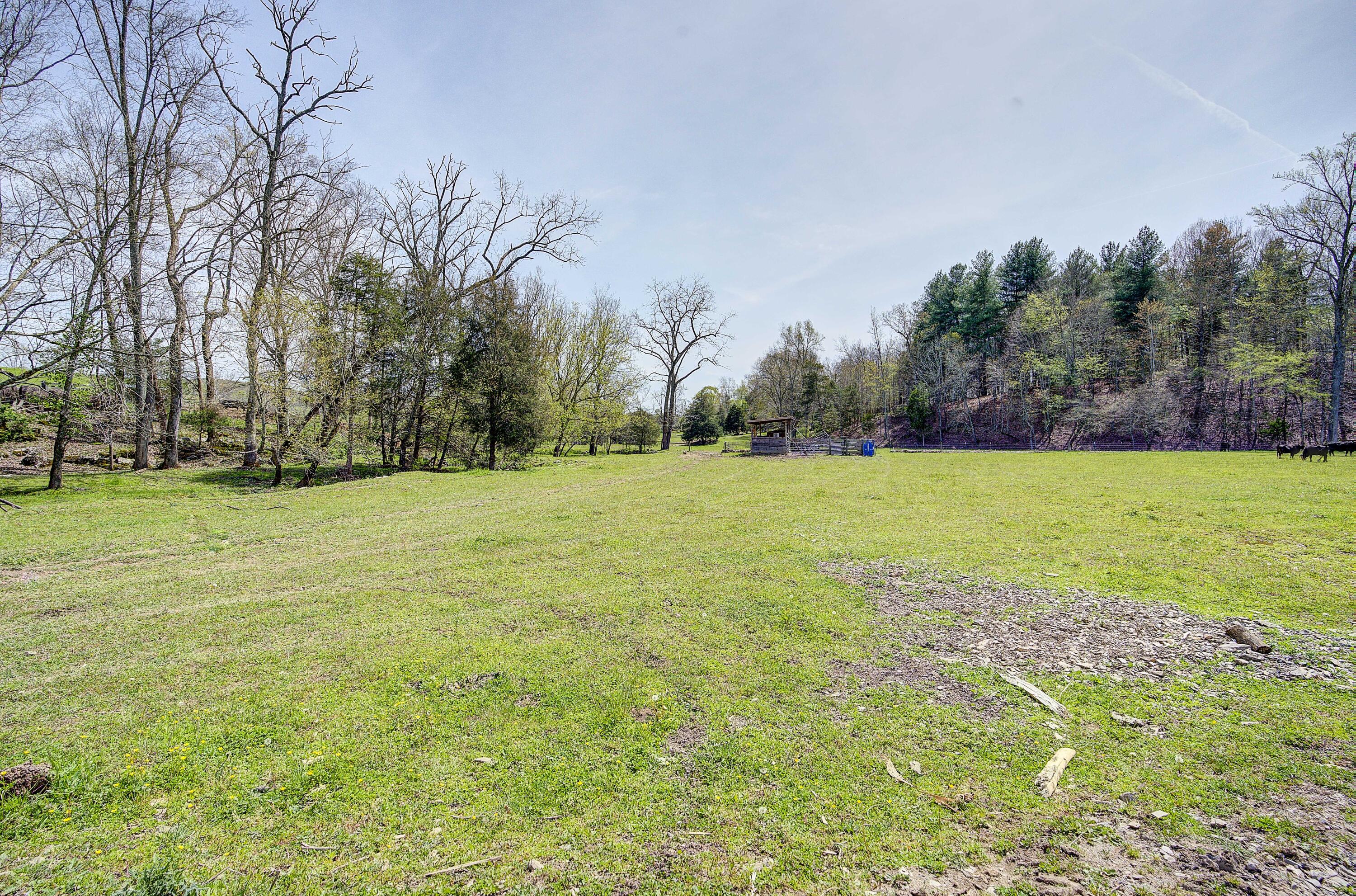 Tbd Bayless Road Jonesborough, TN 37659 - Photo 10 of 31 Bayless-Land-3