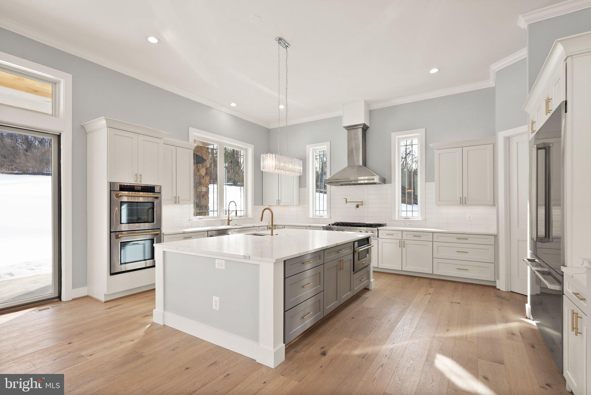 40925 Alysheba Drive Leesburg, VA 20176 - Photo 15 of 84 ZLINE appliances