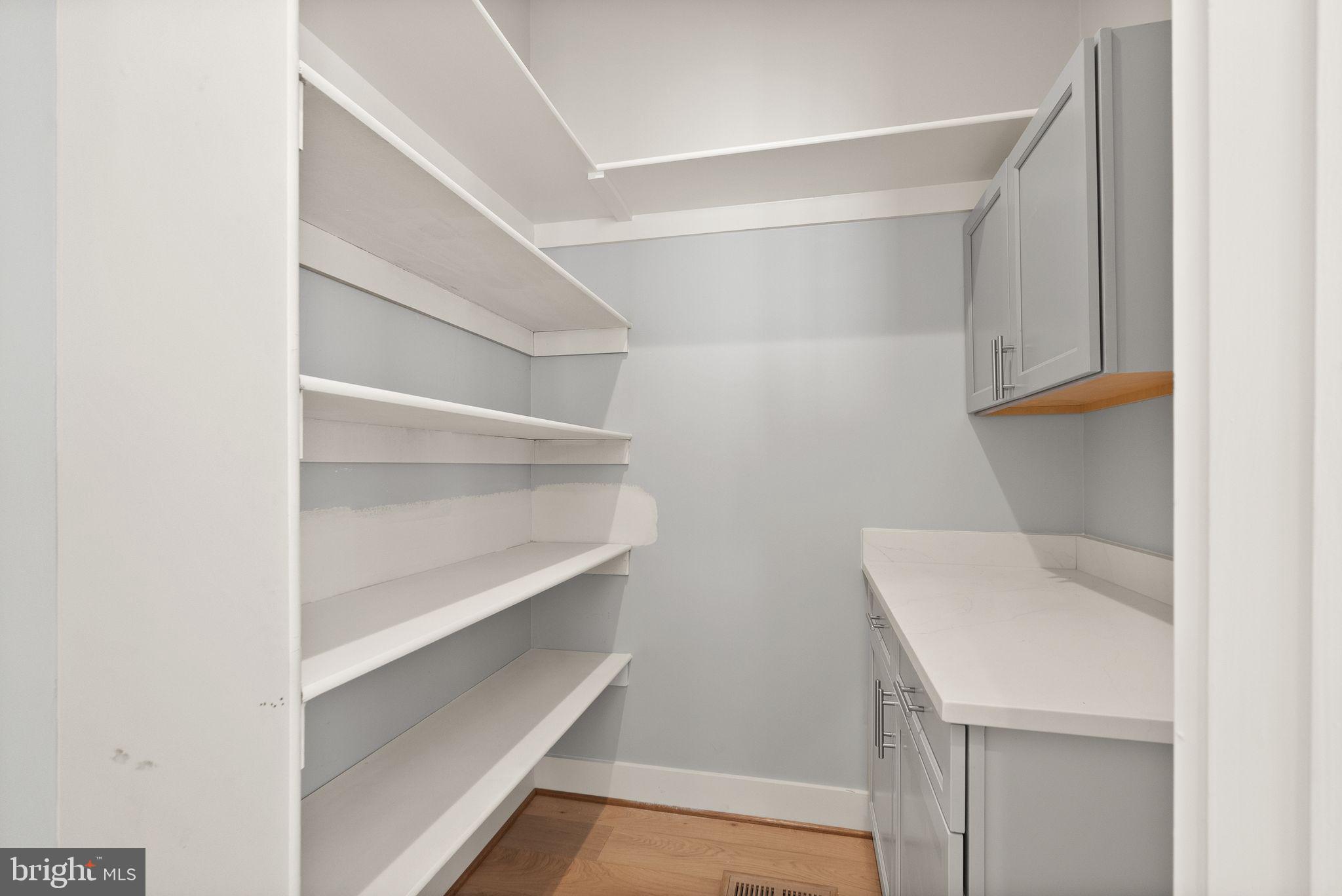 40925 Alysheba Drive Leesburg, VA 20176 - Photo 19 of 84 Pantry