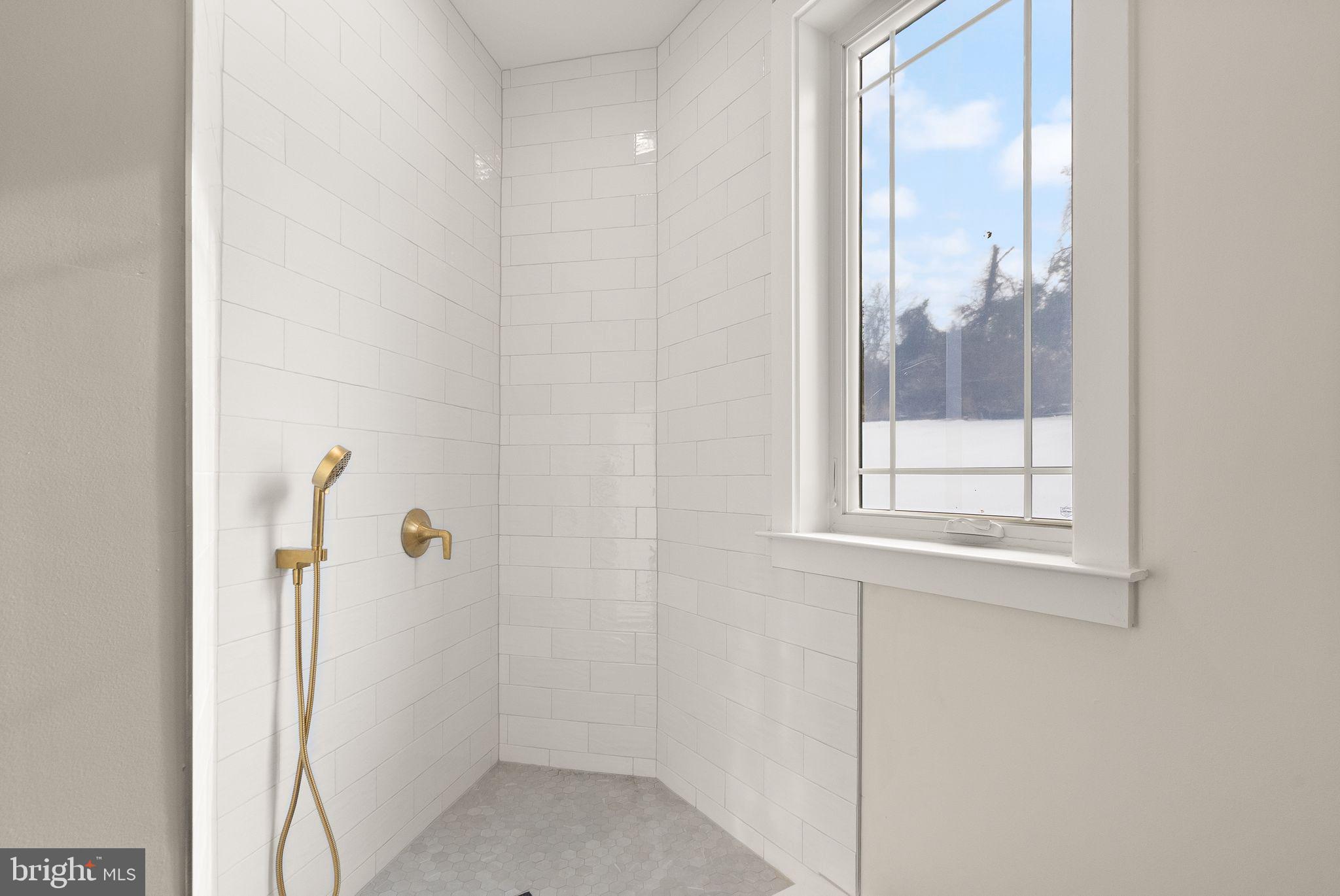 40925 Alysheba Drive Leesburg, VA 20176 - Photo 20 of 84 Dog wash station main level off garage