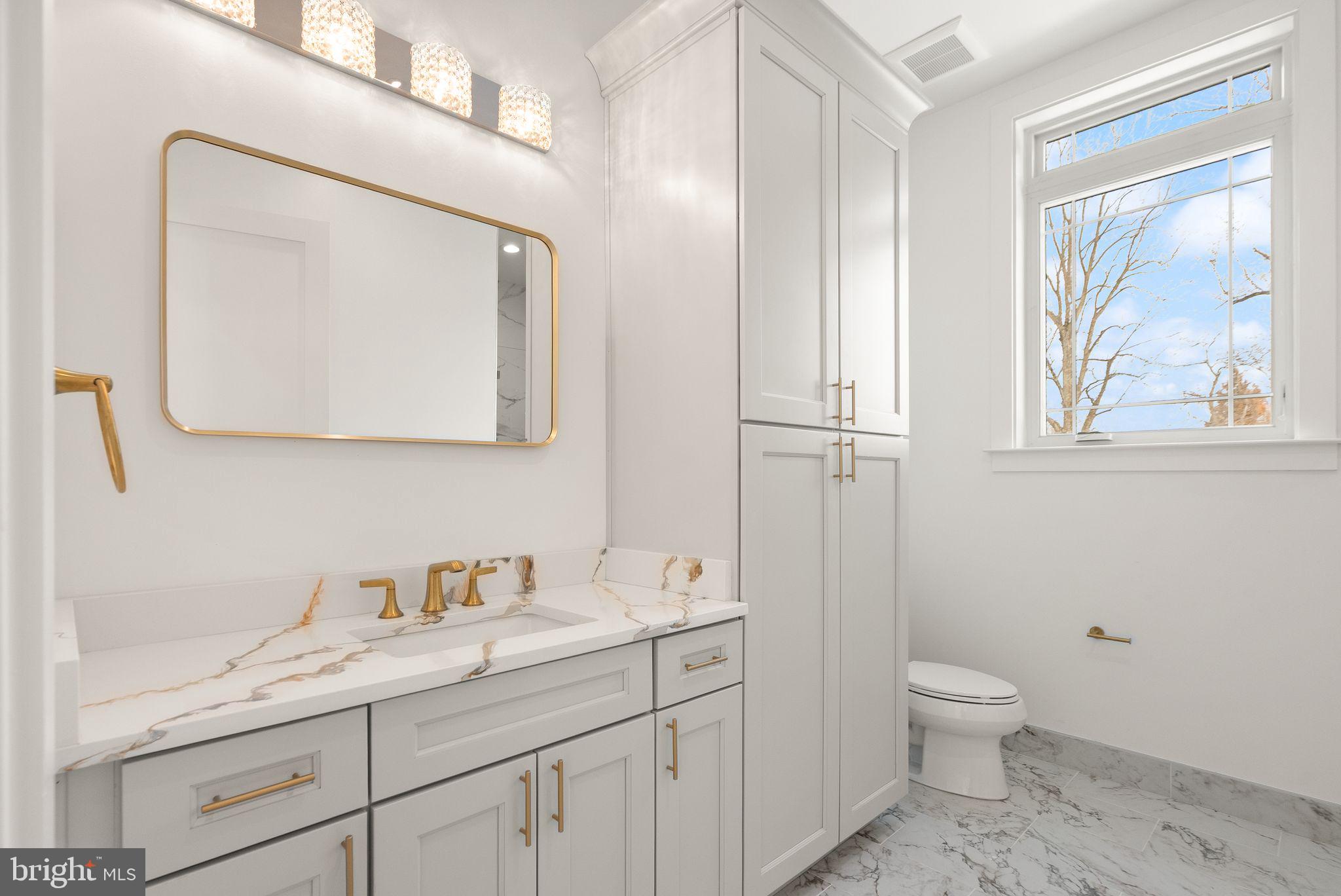 40925 Alysheba Drive Leesburg, VA 20176 - Photo 26 of 84 Main level full bath