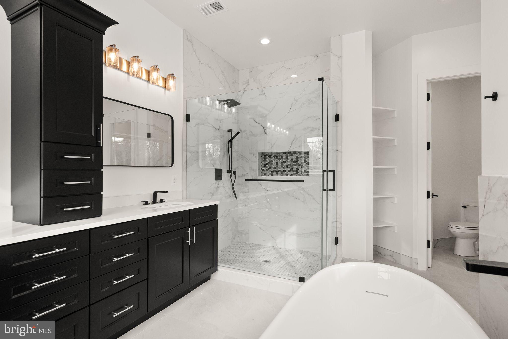 40925 Alysheba Drive Leesburg, VA 20176 - Photo 33 of 84 Primary bathroom