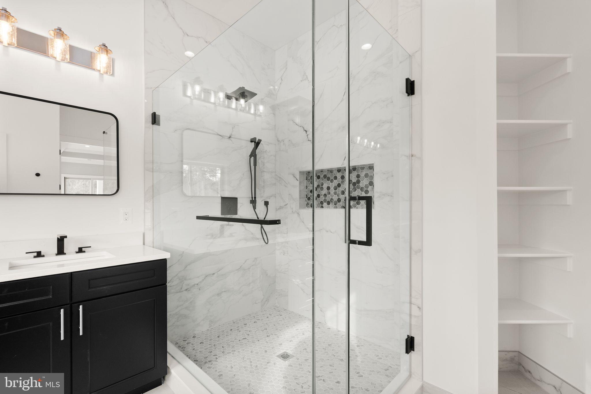 40925 Alysheba Drive Leesburg, VA 20176 - Photo 34 of 84 Primary shower