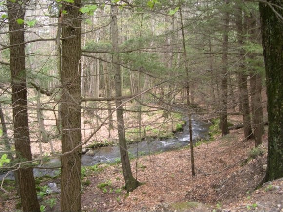 0 Short Falls Road Chichester, NH 03238 - Photo 1 of 1 Gallery Image 1