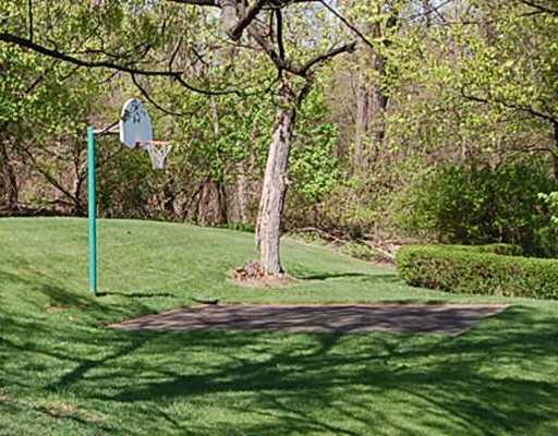 130 Reed Drive Green Tree, PA 15205 - Photo 9 of 10 Yard/Garden. a little backyard basketball!