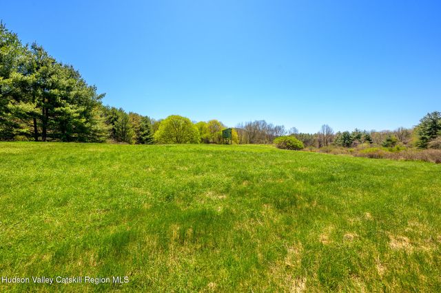 a view of a big yard with plants and large trees
