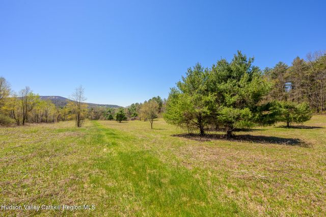 a view of yard with large trees