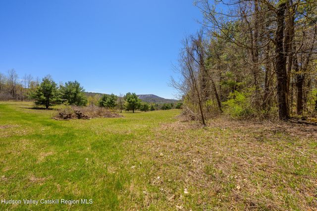 a view of yard with trees