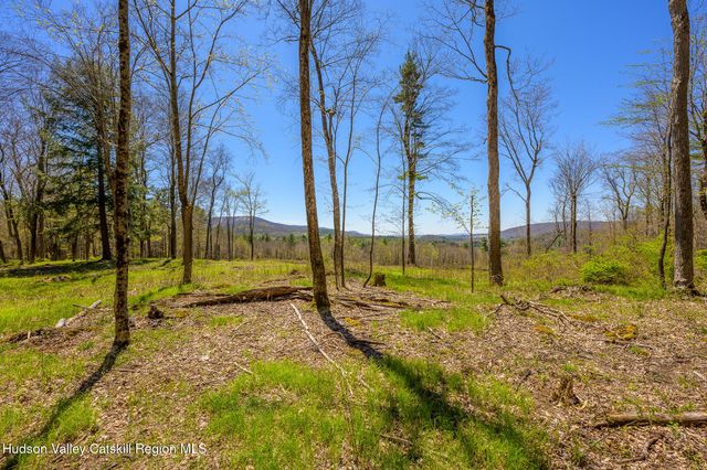 a view of swimming pool with large trees