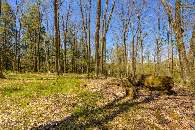 a view of yard with trees