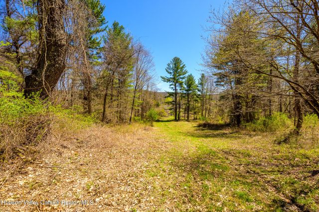 a view of an ocean from a yard