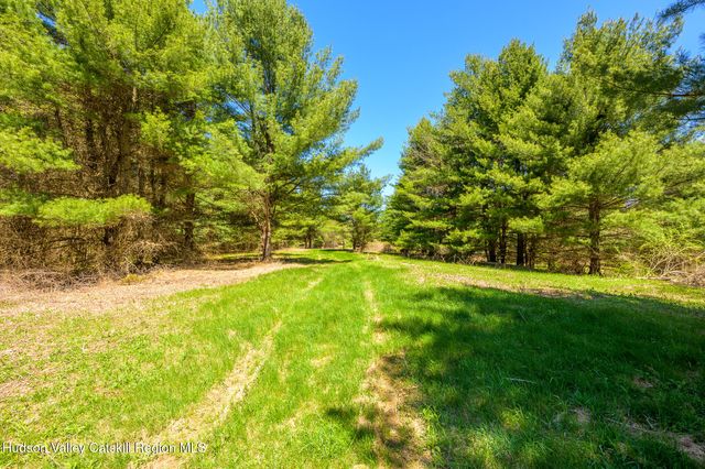 a view of yard with swimming pool and green space