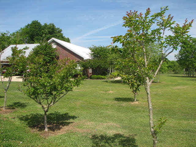 2263 Irwin Road Bentonia, MS 39040 - Photo 1 of 1 Photo 1