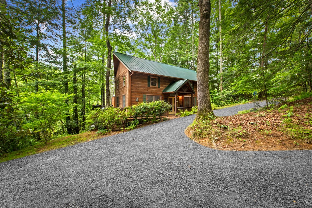 184 Fightingtown Drive Blue Ridge, GA 30513 - Photo 53 of 53