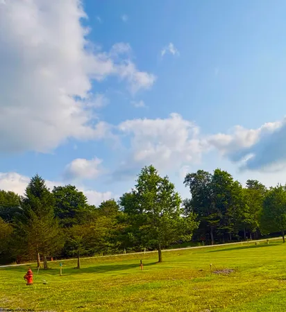 $90,000 | Lot 42 Penny, Davis, WV 26260