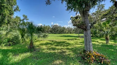 a view of a grassy field with trees in the background