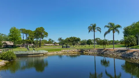 a view of a lake with palm trees