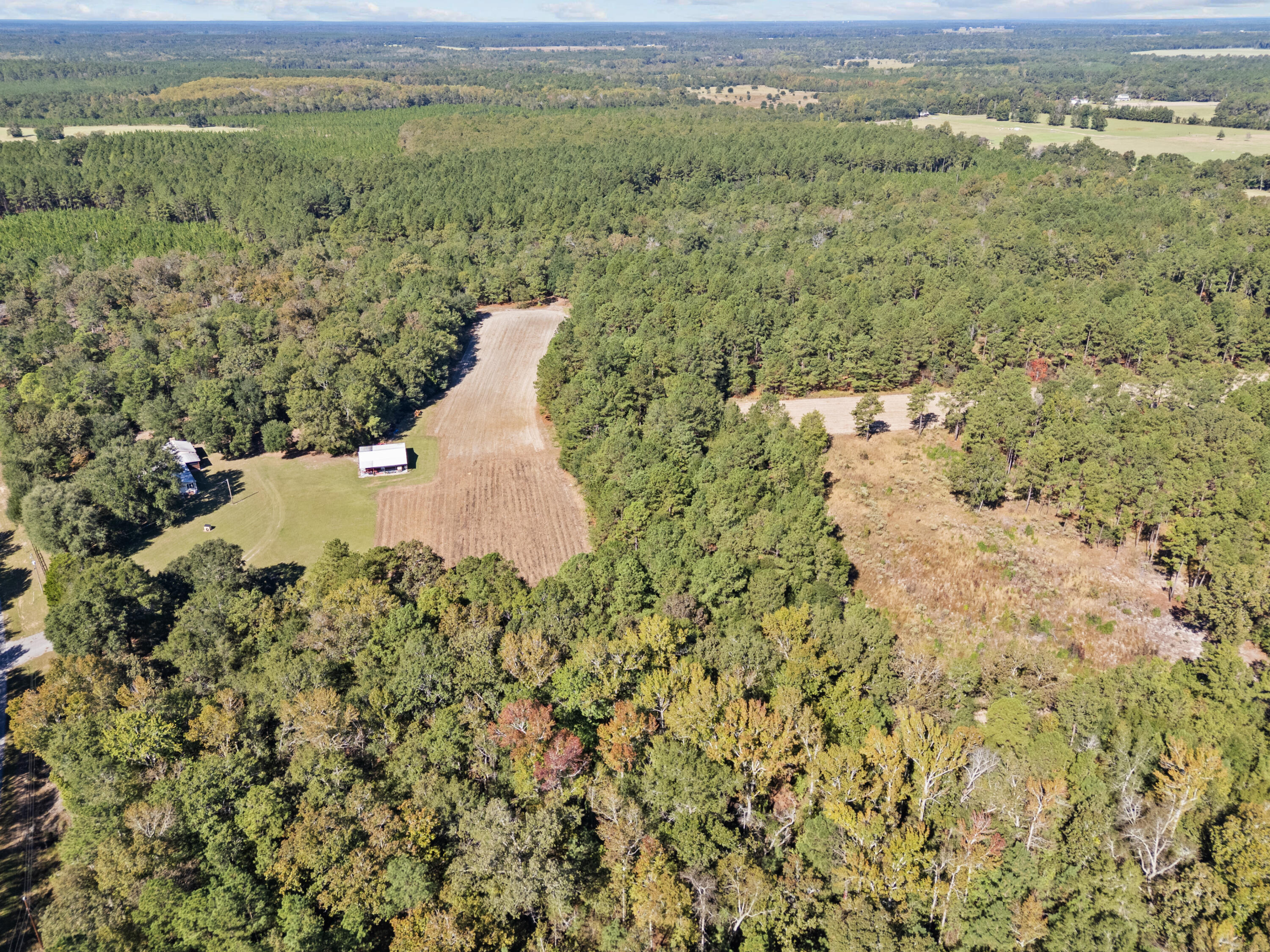 7901 State Rd S-6-169 Blackville, SC 29817 - Photo 77 of 89