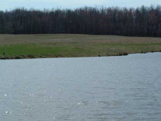 101 Dutch Ridge Way Johnstown, OH 43031 - Photo 1 of 1 Gallery Image 1