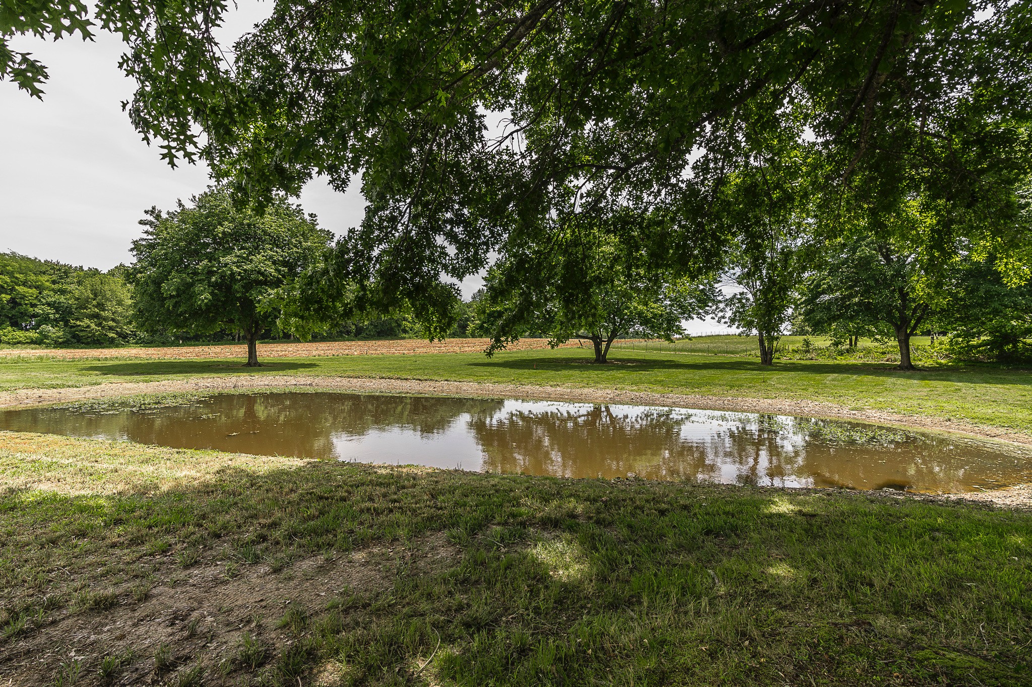 0 Williams Road Cross Plains, TN 37049 - Photo 4 of 8 a view of a lake with a big yard