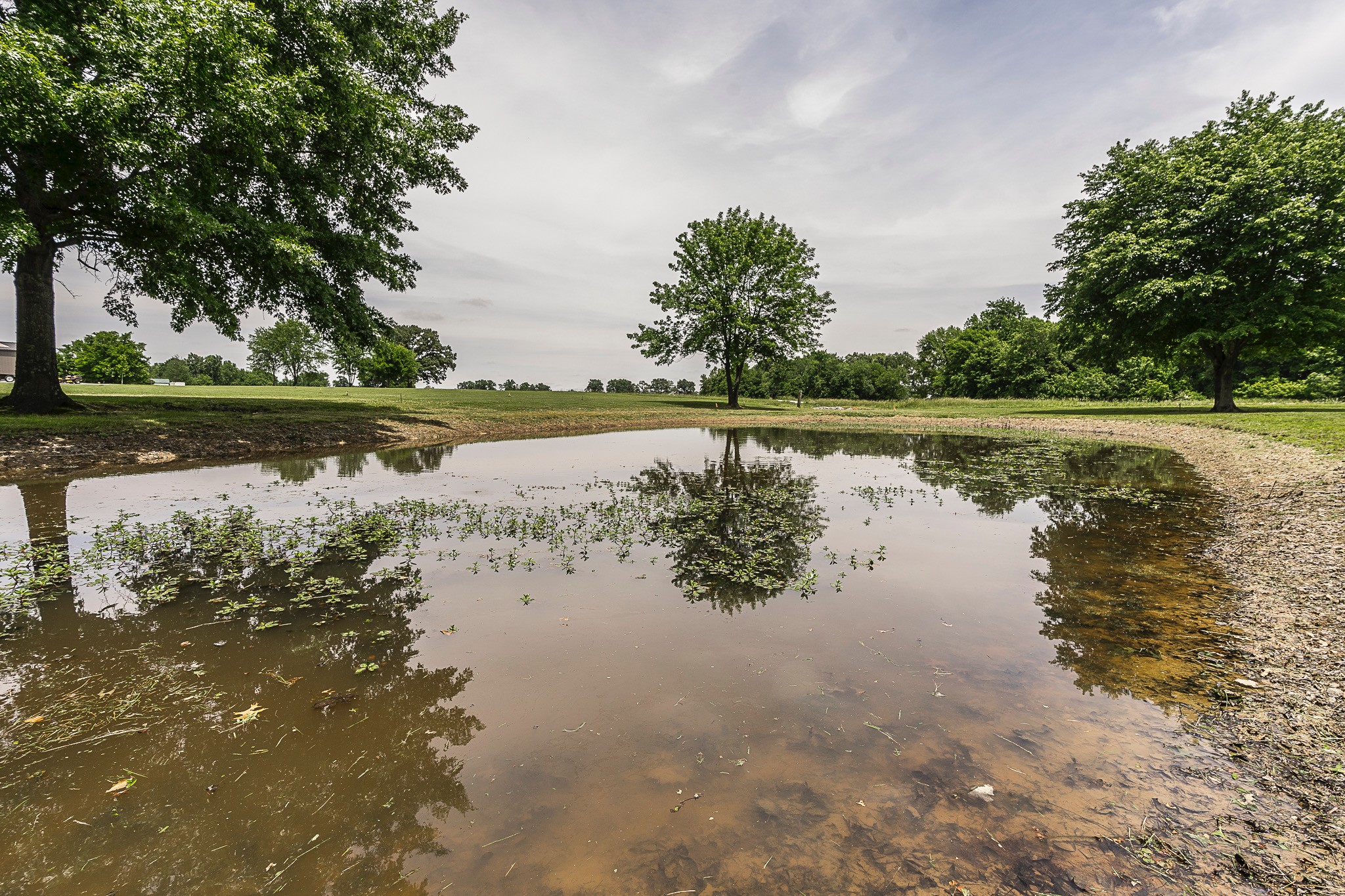 0 Williams Road Cross Plains, TN 37049 - Photo 5 of 8 a view of lake with green space