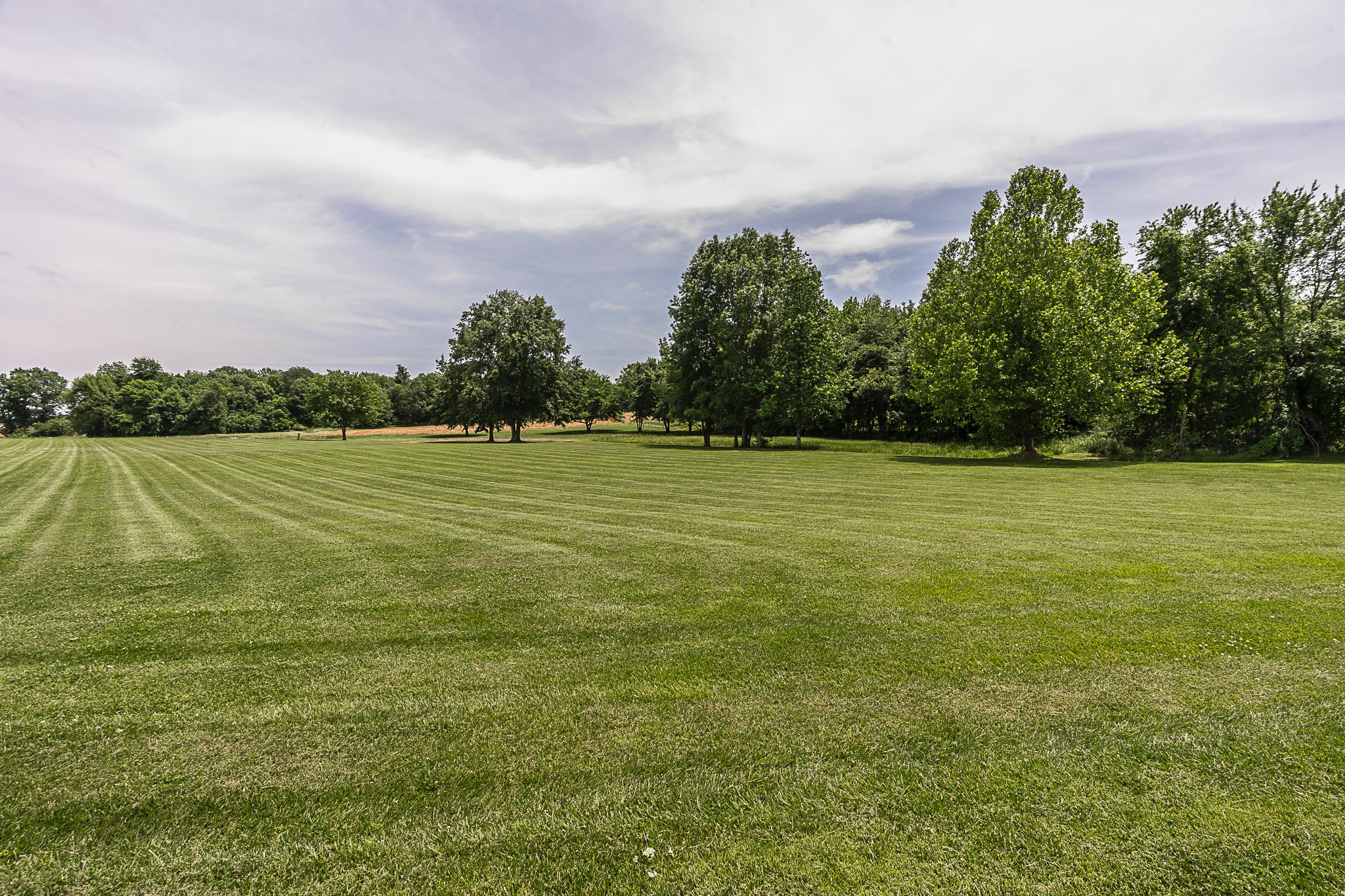 0 Williams Road Cross Plains, TN 37049 - Photo 6 of 8 a view of a lake with a big yard