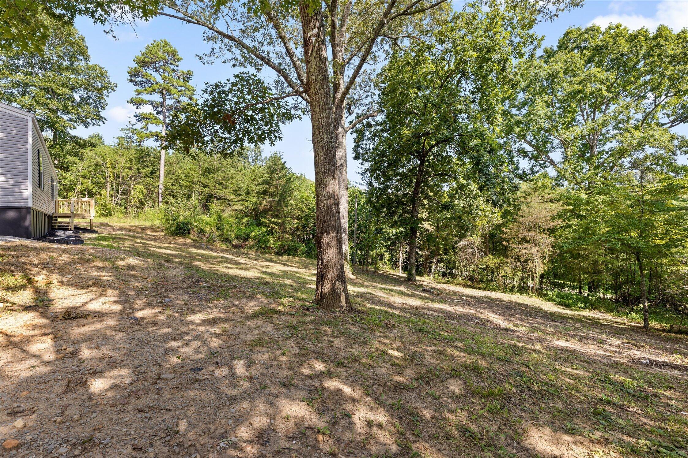 319 Scratch Ankle Road Trenton, GA 30752 - Photo 7 of 24 05-319 Scratch Ankle_-5