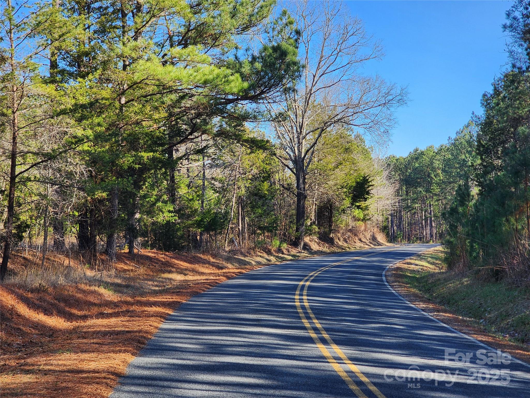 a view of a yard with plants and trees