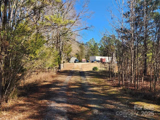 a view of a yard with plants and trees