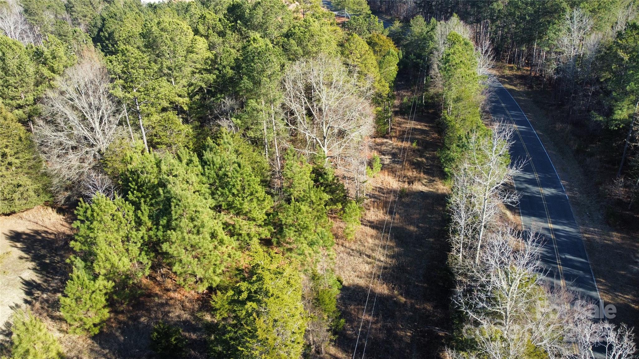 1342 McKnight Road Smyrna, SC 29743 - Photo 18 of 39 a view of a forest