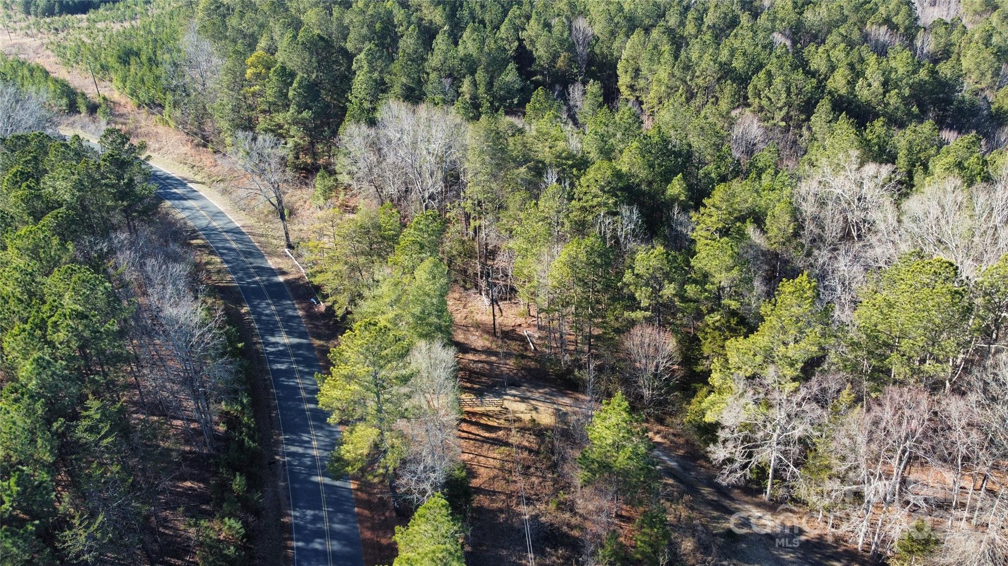 1342 McKnight Road Smyrna, SC 29743 - Photo 20 of 39 a view of a forest with a tree