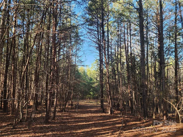a view of backyard with wooden fence