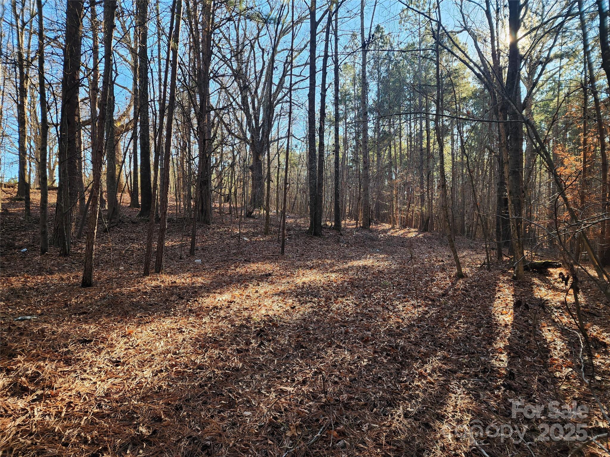 1342 McKnight Road Smyrna, SC 29743 - Photo 23 of 39 a backyard of a house with lots of green space