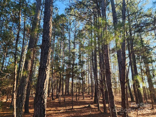 a view of road and trees