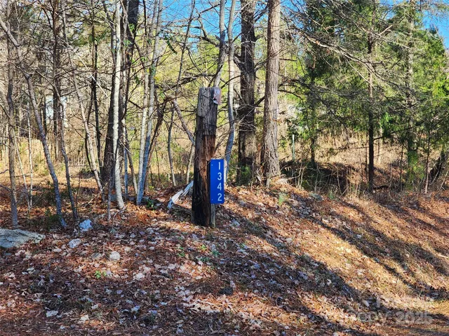 a view of outdoor space with lots of trees