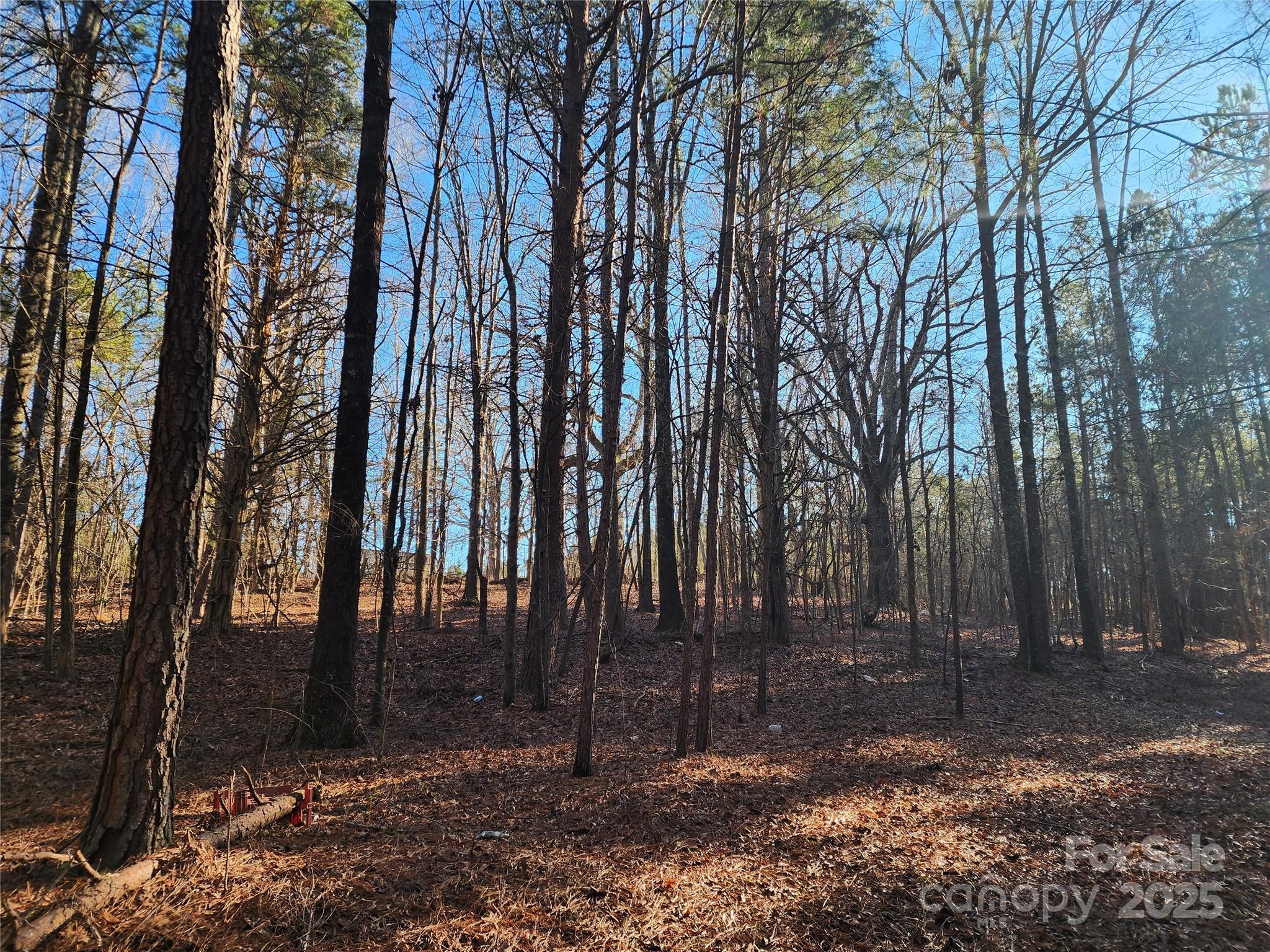 1342 McKnight Road Smyrna, SC 29743 - Photo 30 of 39 a view of outdoor space with lots of trees