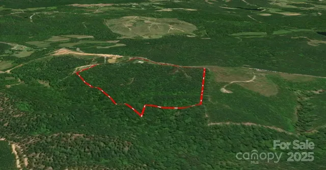 a view of a garden with a lake