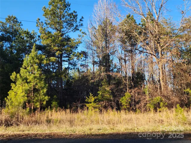 a view of a yard with plants and trees