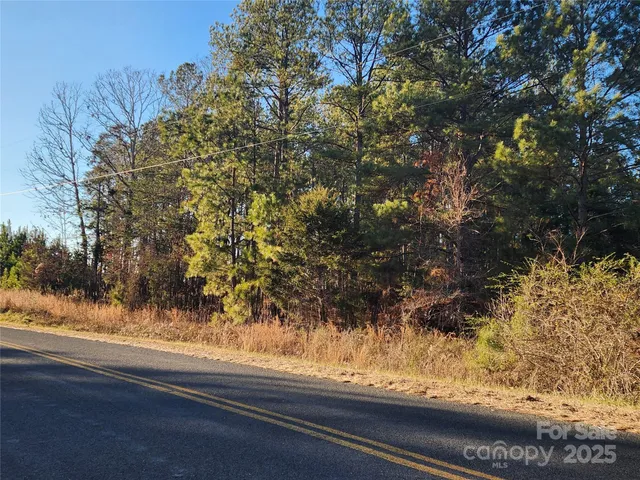 a view of lot and plants