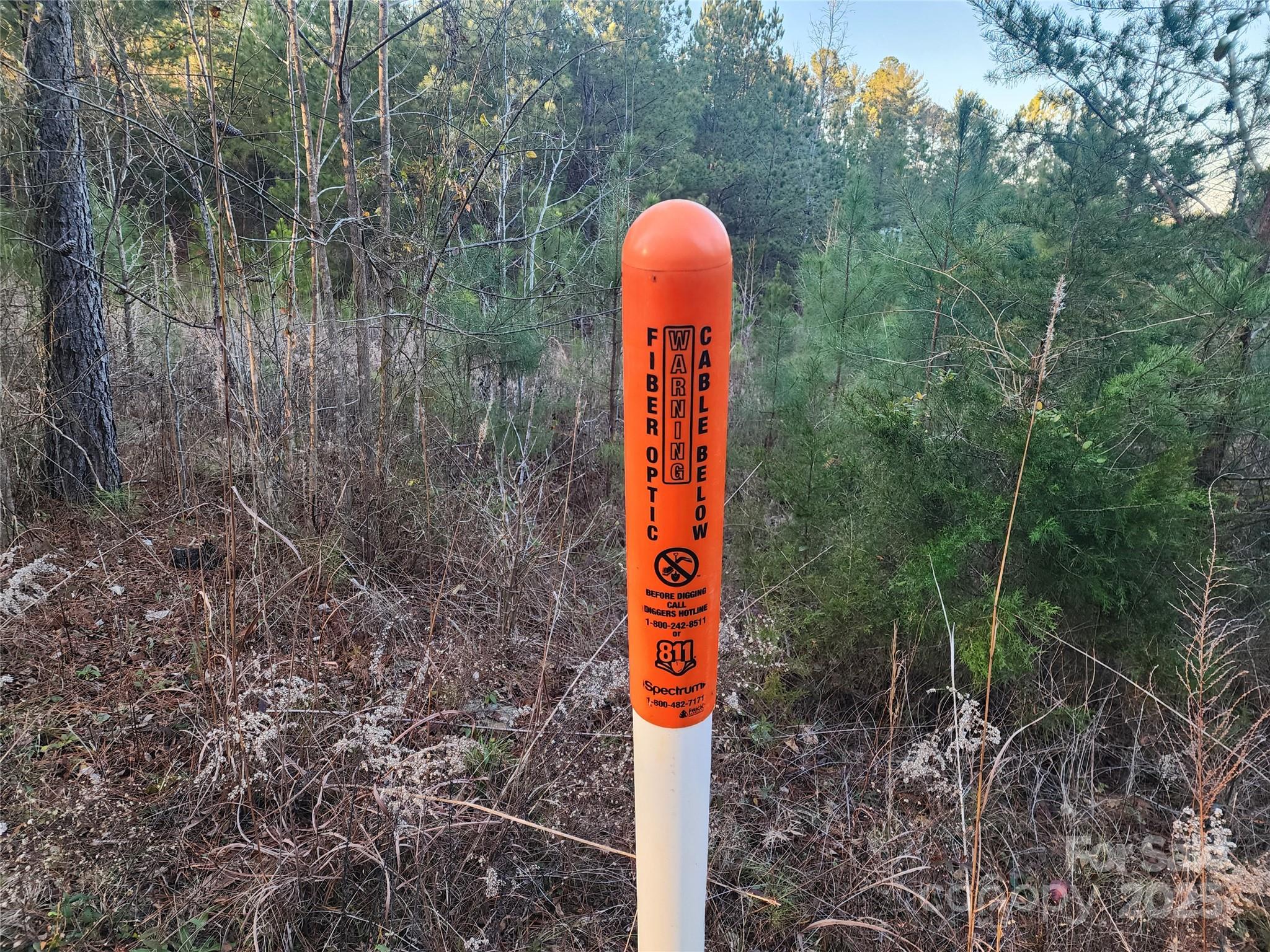 1342 McKnight Road Smyrna, SC 29743 - Photo 38 of 39 a flag is sitting in the middle of forest