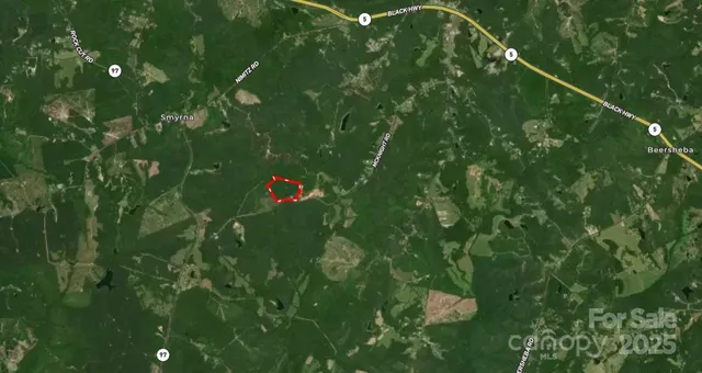 a close up of a plant in a garden