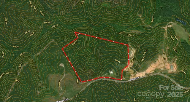 a view of a yard with plants and trees