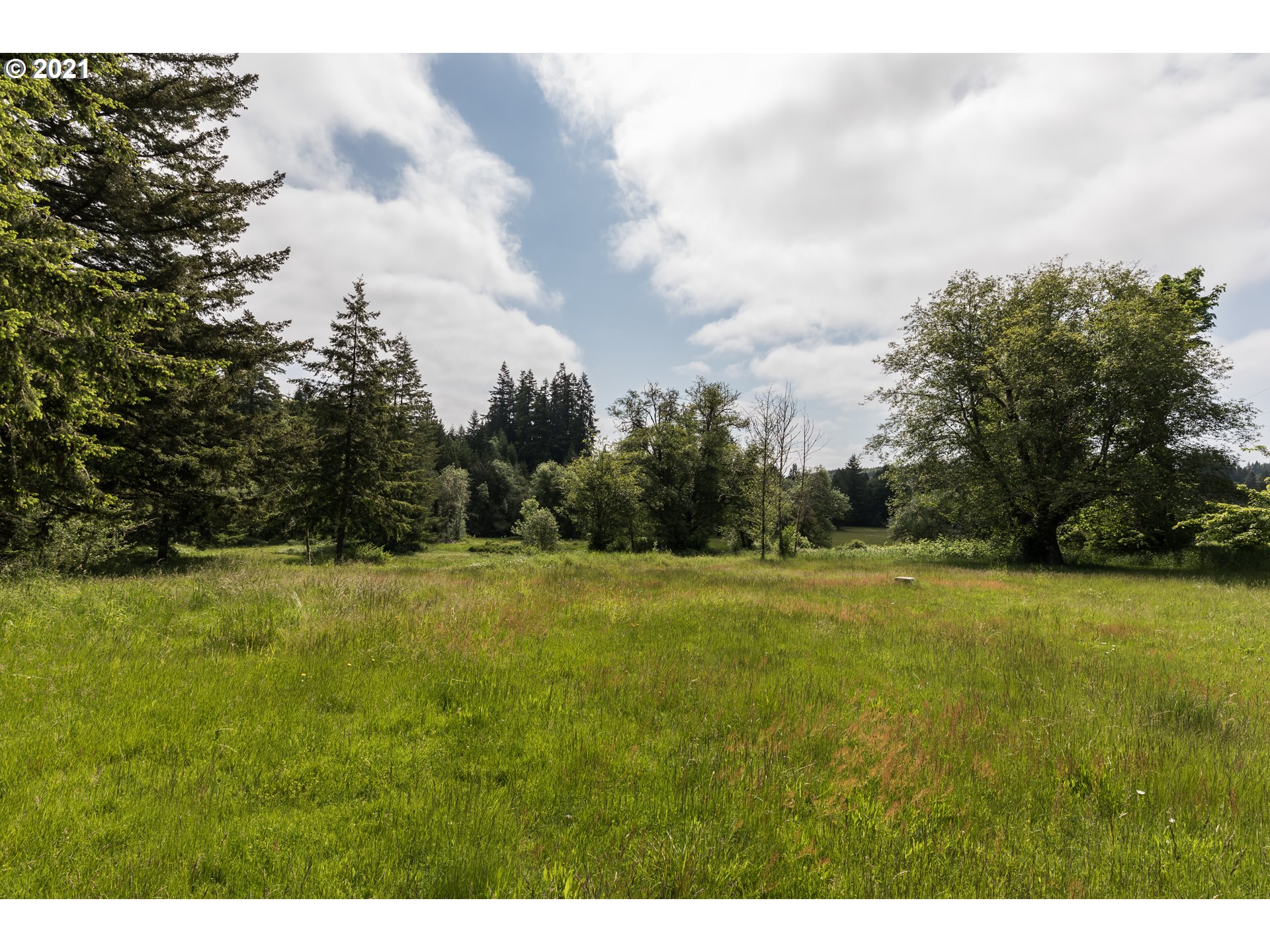 23515 Beaver Falls Road Clatskanie, OR 97016 - Photo 21 of 22 Gallery Image 21