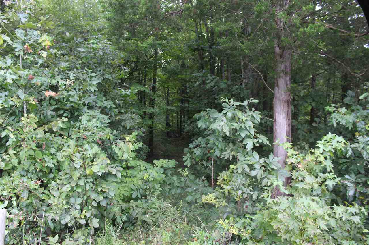 2039 Dexterville-Oak Ridge Road Morgantown, KY 42261 - Photo 5 of 17 Gallery Image 5