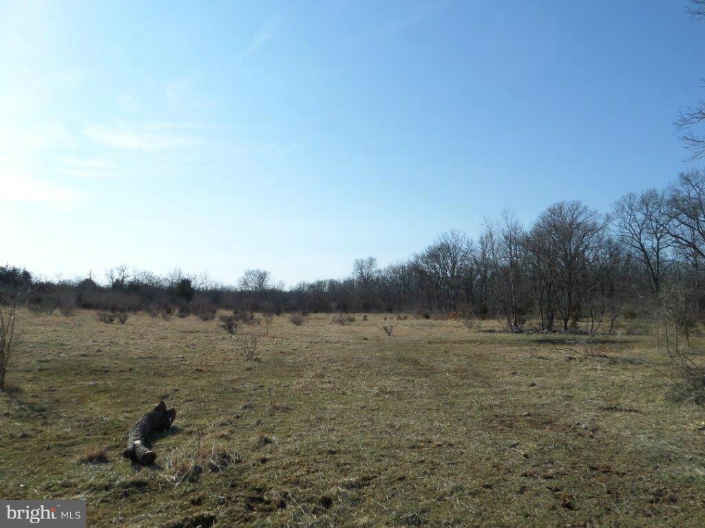 421 Russell Road Berryville, VA 22611 - Photo 2 of 30 Pasture Land