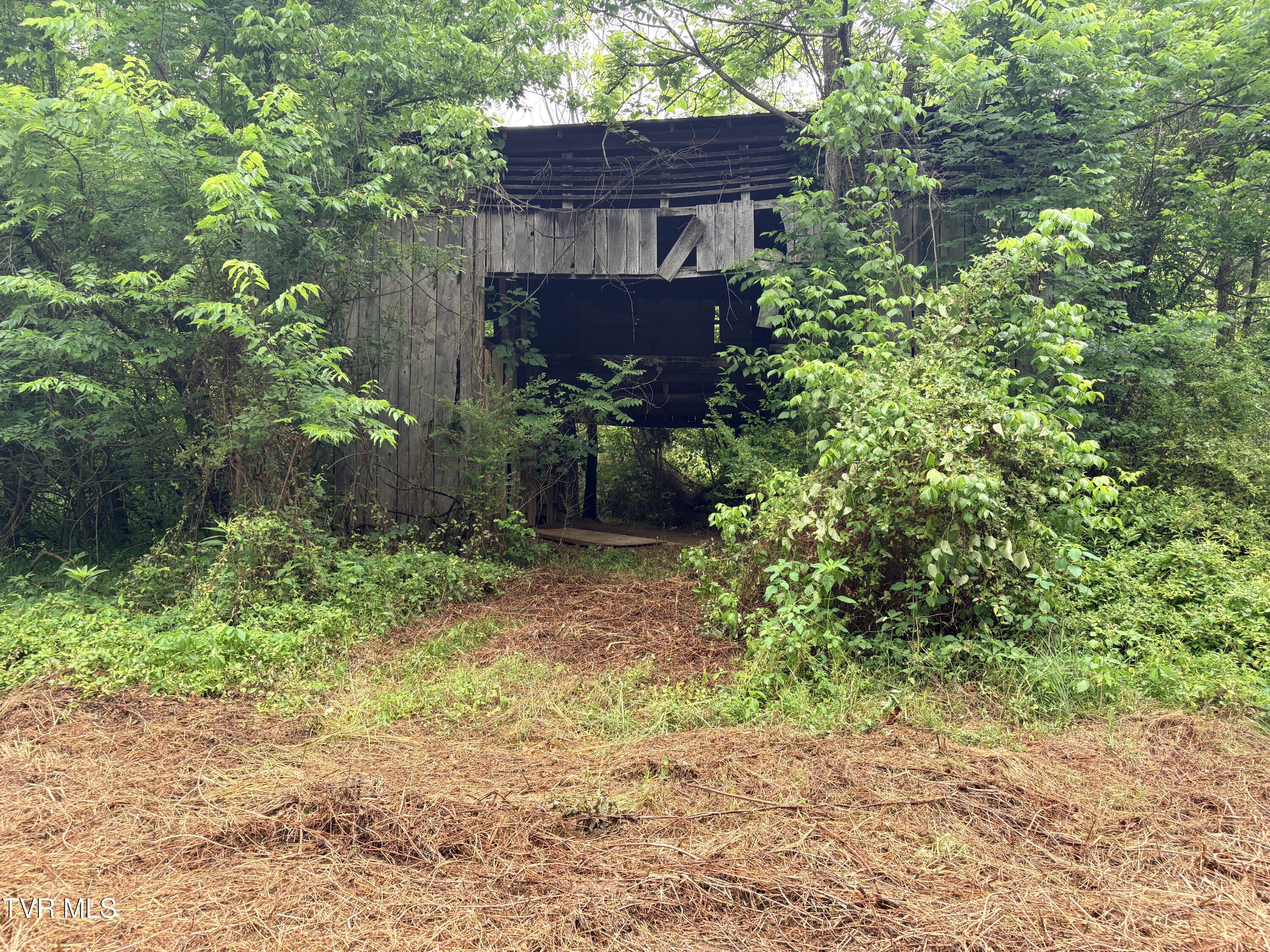 0 Shackleford Road Mosheim, TN 37818 - Photo 6 of 21 IMG_9911