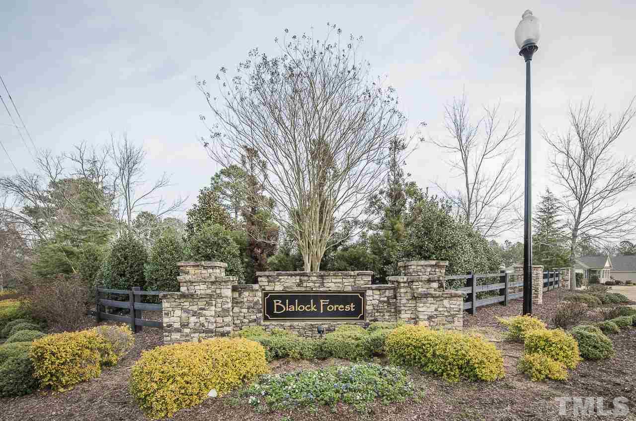1136 Farmers Branch Road Willow Spring, NC 27592 - Photo 29 of 30 a view of a garden with a bench