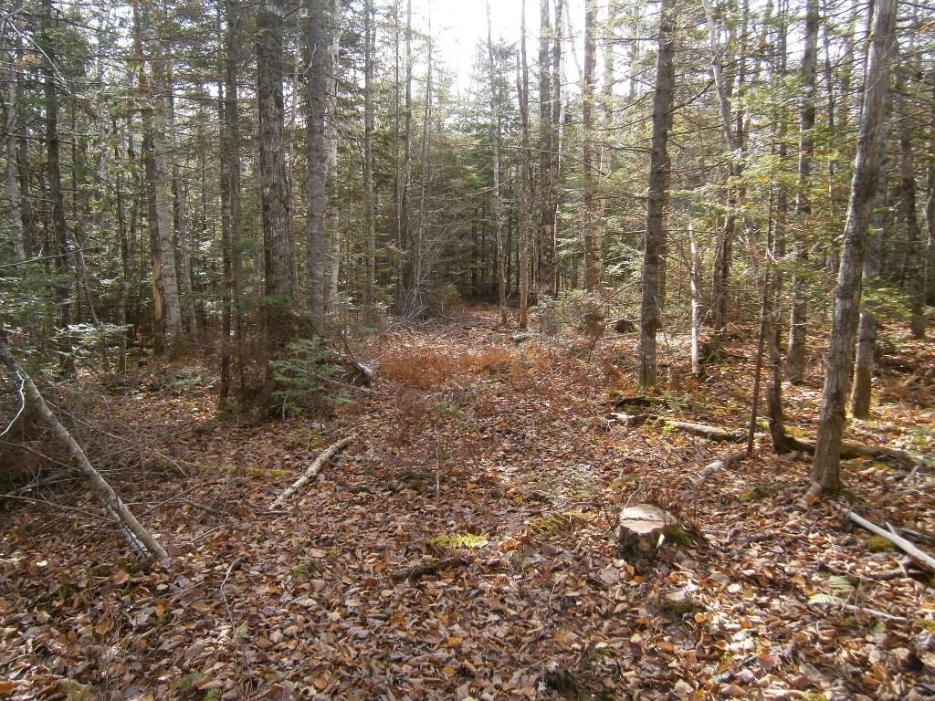 0 Roque Bluffs Road Jonesboro, ME 04648 - Photo 25 of 34 Photo
